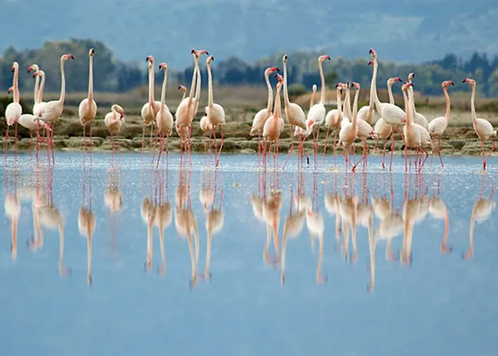 Lewis Poetto Гостевой дом